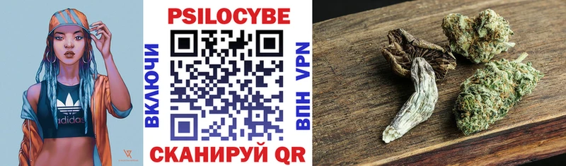 Купить где  Донецк  Псилоцибиновые грибы Psilocybe 