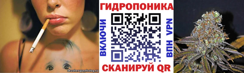 Марихуана план Купить где Донецк